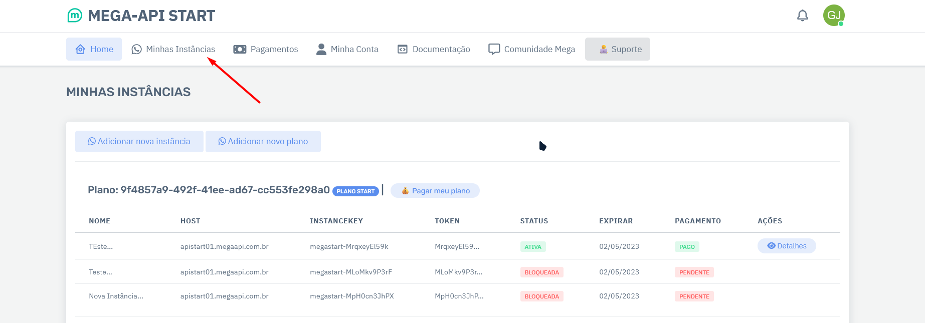 Mega-api Docs - Sua Solução para Integração com WhatsApp